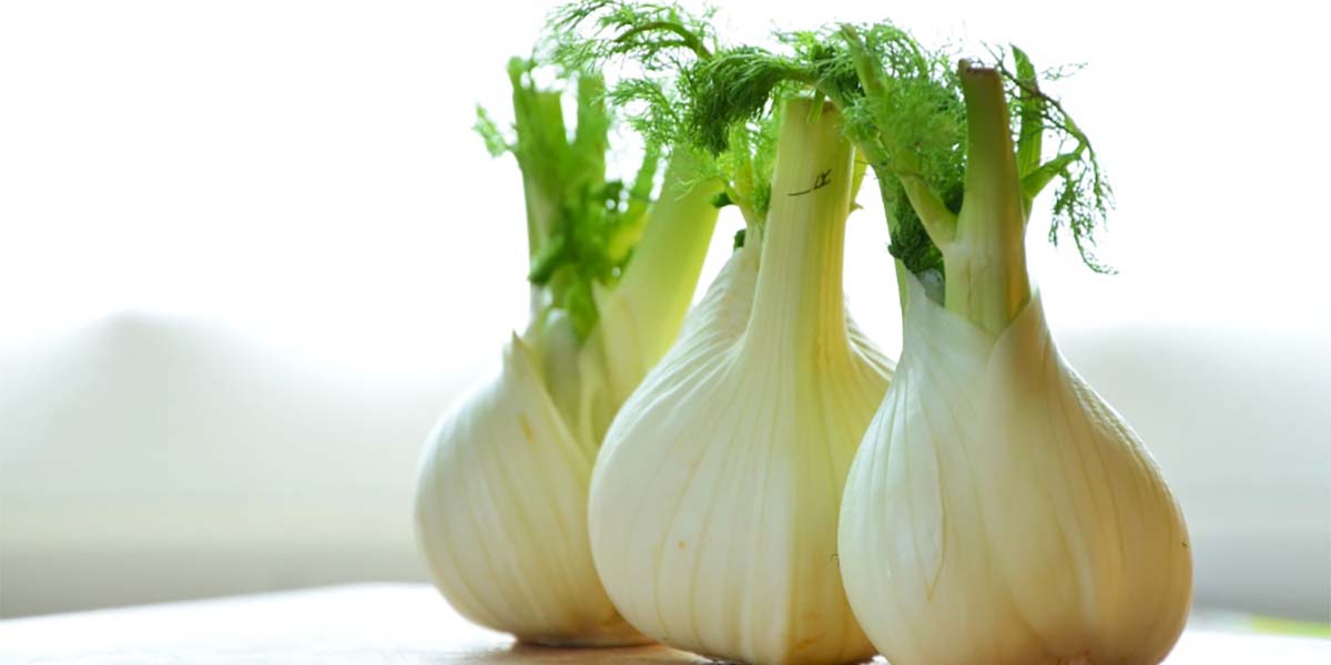 Finocchi: il pro-capite è di oltre 2 kg l'anno ma i consumi hanno perso slancio